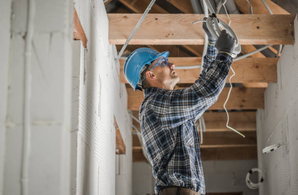 Best Home Electrical Repair  in Eddyville, IA